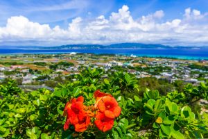伊江島_フェリーのイメージ画像