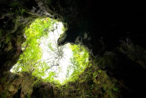 屋久島_行き方のイメージ画像