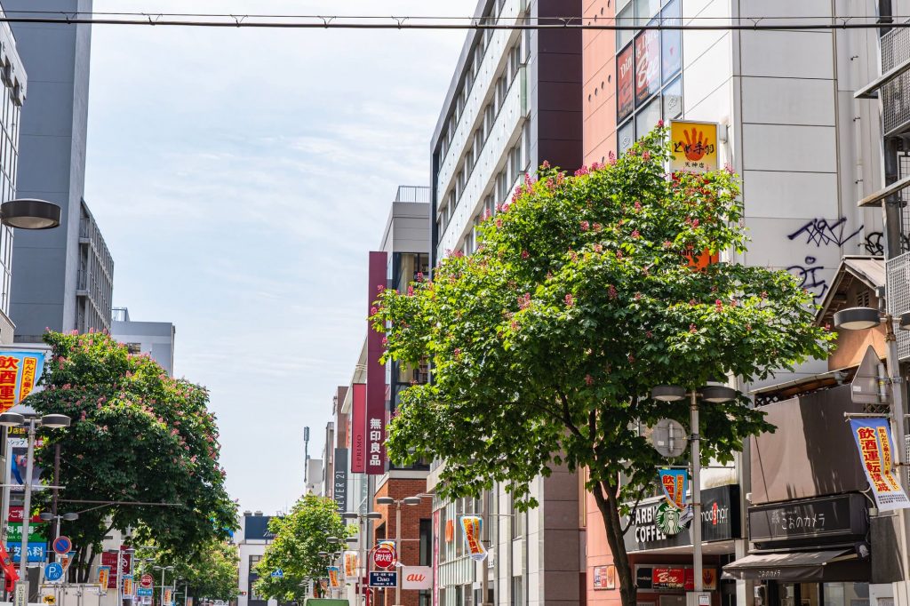東京_福岡_飛行機のイメージ画像