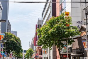 東京_福岡_飛行機のイメージ画像